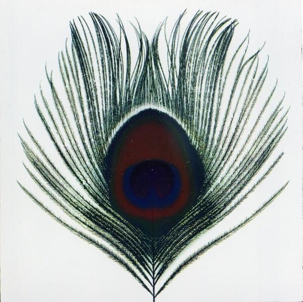 XTC - Apple Venus Volume 1